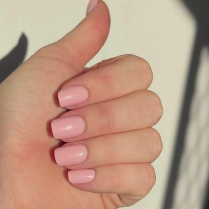 Fairy Floss